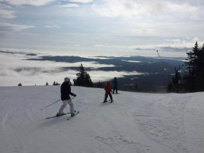 Гостиница Mountain Lodge at Okemo, Ладлоу